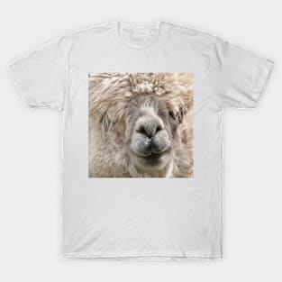 Alpaca T-Shirt